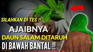 SILAHKAN TES !! Khasiat Daun Salam DiBawah Bantal, Taruh 3 Lembar Kalau Berani | Daunnya Nabi Khidir