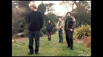 Torn Memory - Land Becomes Skin - Organic