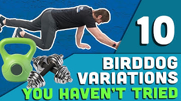 10 Bird Dog Variations You Might Not Have Tried (Build Core Stability)