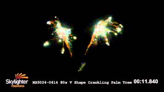 Details MS5024 0614 News
