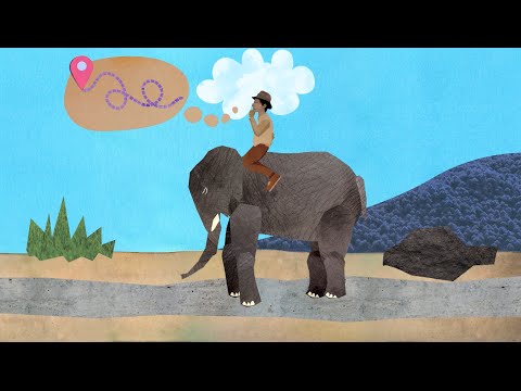 The Elephant The Rider And The Path A Tale Of Behavior Change Youtube