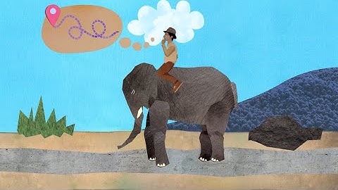 The Elephant, The Rider and the Path - A Tale of Behavior Change