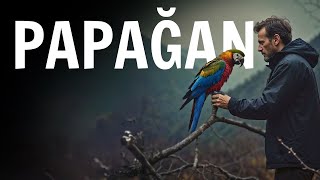 Dağda Görüp Yakaladığım Papağan Beni Cinlerin Kucağına Attı | Cin Hikayeleri |Korku Hikayeleri