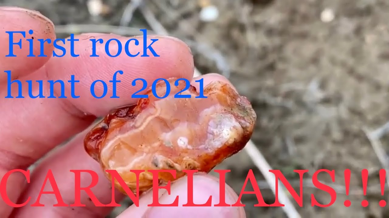 First rock hunt of 2021 at my carnelian spot 