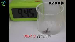 【天龍】防蟲網實驗記錄農業害蟲