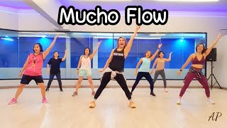 Mucho Flow - ILEGALES Zumba Zin106 Electro Latino Dance Workout Dance with Ann Ann Piraya