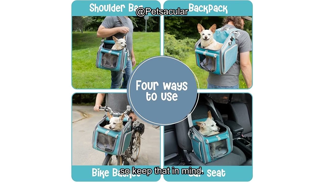 Dog Bike Basket Review: Is This the Perfect Ride for Your Small Dog or Cat?