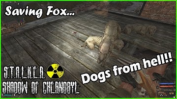 S.T.A.L.K.E.R.: Shadow of Chernobyl - Learning about Strelok