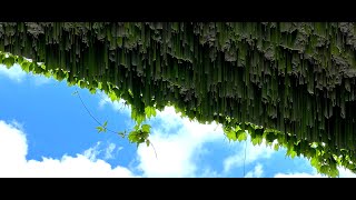 ほほえみ / 重音テト