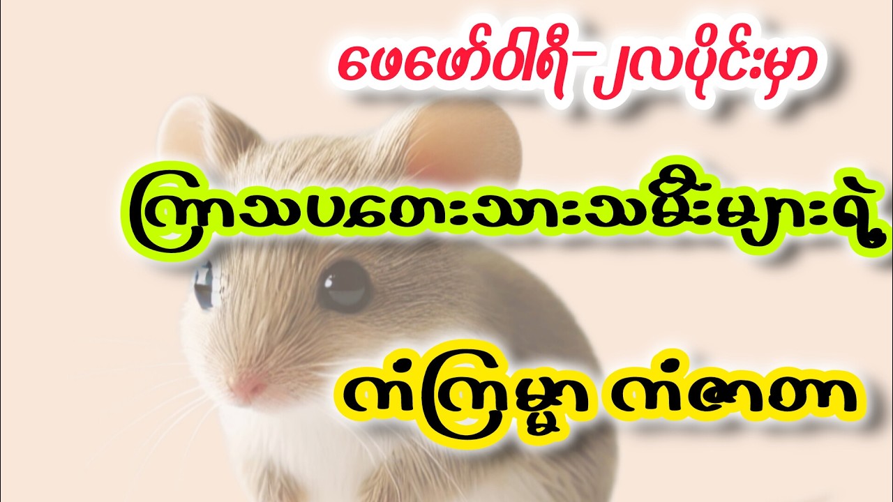 ဖေဖော်ဝါရီလမှာကြာသပတေးသားသမီးများရဲ့တစ်လစာကံကြမ္မာကံဇာတာအဆိုးအကောင်းဟောစာတမ်းဆရာမအမွေ