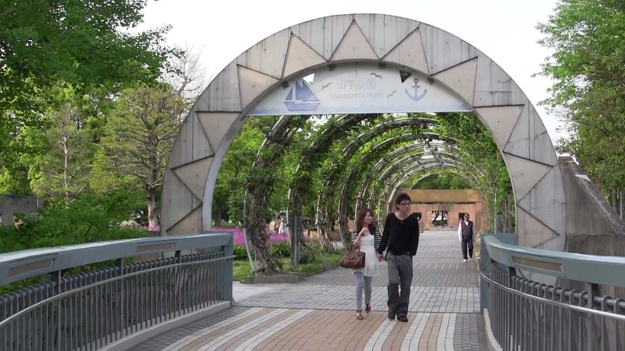 Canon iVIS HF M41 in Minatomirai