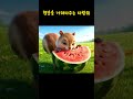 댓글에 고민을 남겨주세요. 🍀💬