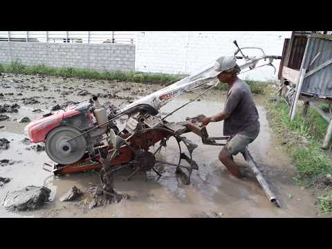 Video: Bagaimanakah anda membajak sawah dengan tangan?