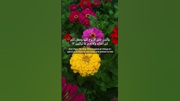 Az-Zukhruf 11.12.13 سورة الزخرف#islam #quran #allah
