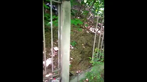 Как попасть в ботсад бесплатно