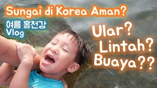 Seperti Apa Sungai di Korea Saat Musim Panas? | Korea   Indonesia Family Vlog