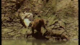 無線 翡翠台 大江南北 湖南特輯 猛洞河風情 主持 楊瑞麟 陳敏兒