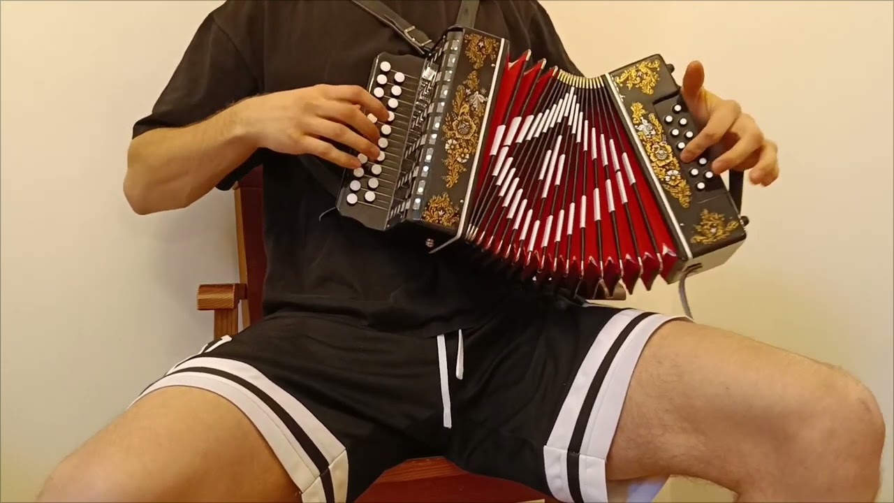 (Accordion) Crocodile Gena's birthday song