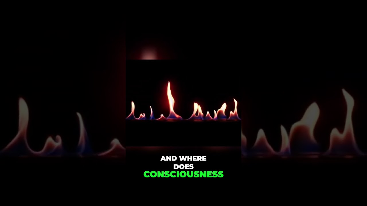 Is Reality a Dream? The Mind-Blowing Answer!