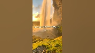 قرآن كريم |تلاوة خاشعة تريح القلب ❤ |القارئ عبدالرحمان مسعد|QURAN