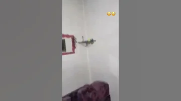 شاهد لحظة الزلزال في سوريا زلزال سوريا تركيا 