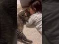 大好きな娘が熱で寝込んでいると心配した猫が寄り添って...【とらまる】