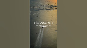 عبدالله الموسى - سورة ابراهيم