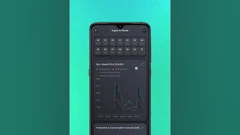 📱 Hoe stel je dynamische tarieven in via de mySigen App? ⚡
