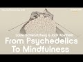 From psychedelics to mindfulness with jack kornfield and louie schwartzberg  heart wisdom ep 235