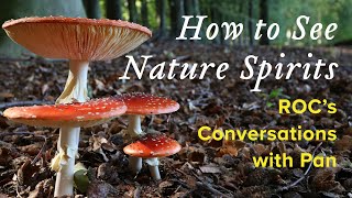 How to See Nature Spirits, ROC