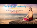 The Soul as Luminary -   Rule Five -  Meditation Only