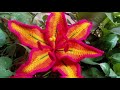 ✨🌷 Crochet Lily Flower||Part:-1|| Colourfull Amazing Lily Flower ✨🌷 लिली फ्लावर✨#crochet #lilyflower