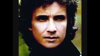 Un Gatto Nel Blu   Roberto Carlos