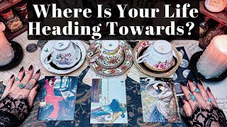 Where Is Your Life Heading Towards Coffee U0026 Tarot Pick A Card Reading