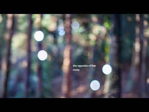 Putar The Opposite of Fear - Moby