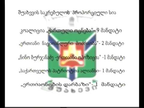 როგორ გადანაწილდა მანდატები აჭარაში