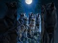 Wolves standing on rocky hill howling at the moon #aivideo #animals #shorts #animation #shortsviral