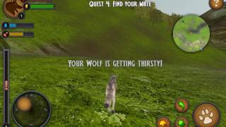 Wolves of the Forest-Android HD Gameplay screenshot 5