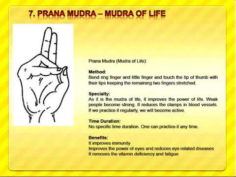 100% Most Viewed Must Watch Google Facebook Youtube Trending Mudra for All Diseases Pain Relief from YouTube · Duration: 2 minutes 27 seconds 100% Most Viewed Must Watch Google Facebook Youtube Trending Mudra for All Diseases Pain Relief from YouTube · Duration: 2 minutes 27 seconds