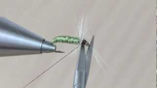 RAM-Caddis Köcherfliege Nymphe - Fliegenbinden bei etheonTV