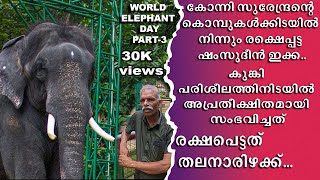 Konni Elephant Camp, Mahout Shamsudeen speaks about Konni Surendran, World Elephant Day  Part - 3