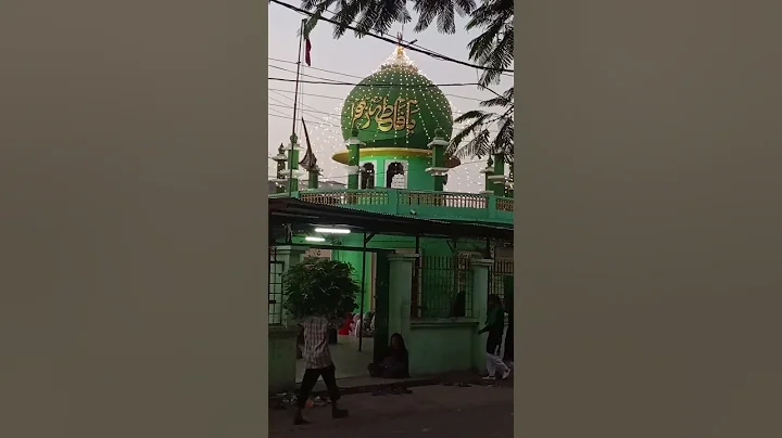 bibi fatima zehra roza Mubarak #bibifatimazehra #hussaintekri #shorts #viralvideo #mola #bibifatima