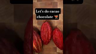cacao chocolate 🍫 #letsdothistogether #chocolate #cacao #goa #available