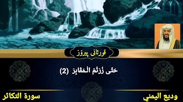 سورة التكاثر وديع اليمني