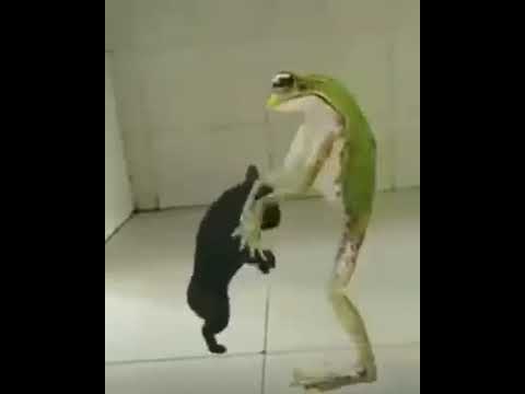 O Kelor - Lagu Lulo Terheboh Kendari Elektone