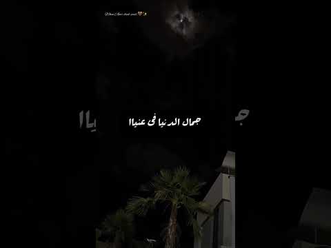 يا كنزي وكل ما ليا عمرو دياب