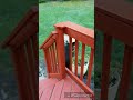 Staining a deck with Behr Premium Solid Stain Waterproofing Stain & Sealant Staining a deck with Behr Premium Solid Stain Waterproofing Stain & Sealant