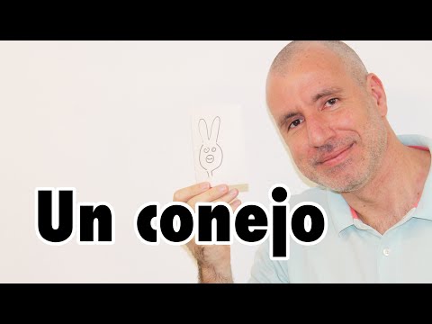 【スペイン語】#74 Un conejo