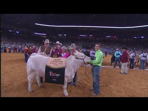 Video: Livestock Shows og Rodeos i Texas