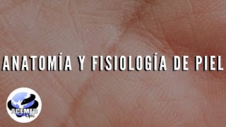 Anatomía y fisiología de la piel